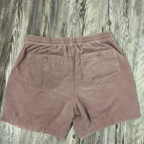 Taylor Stitch Micro Cord Shorts - Picture 4 of 4